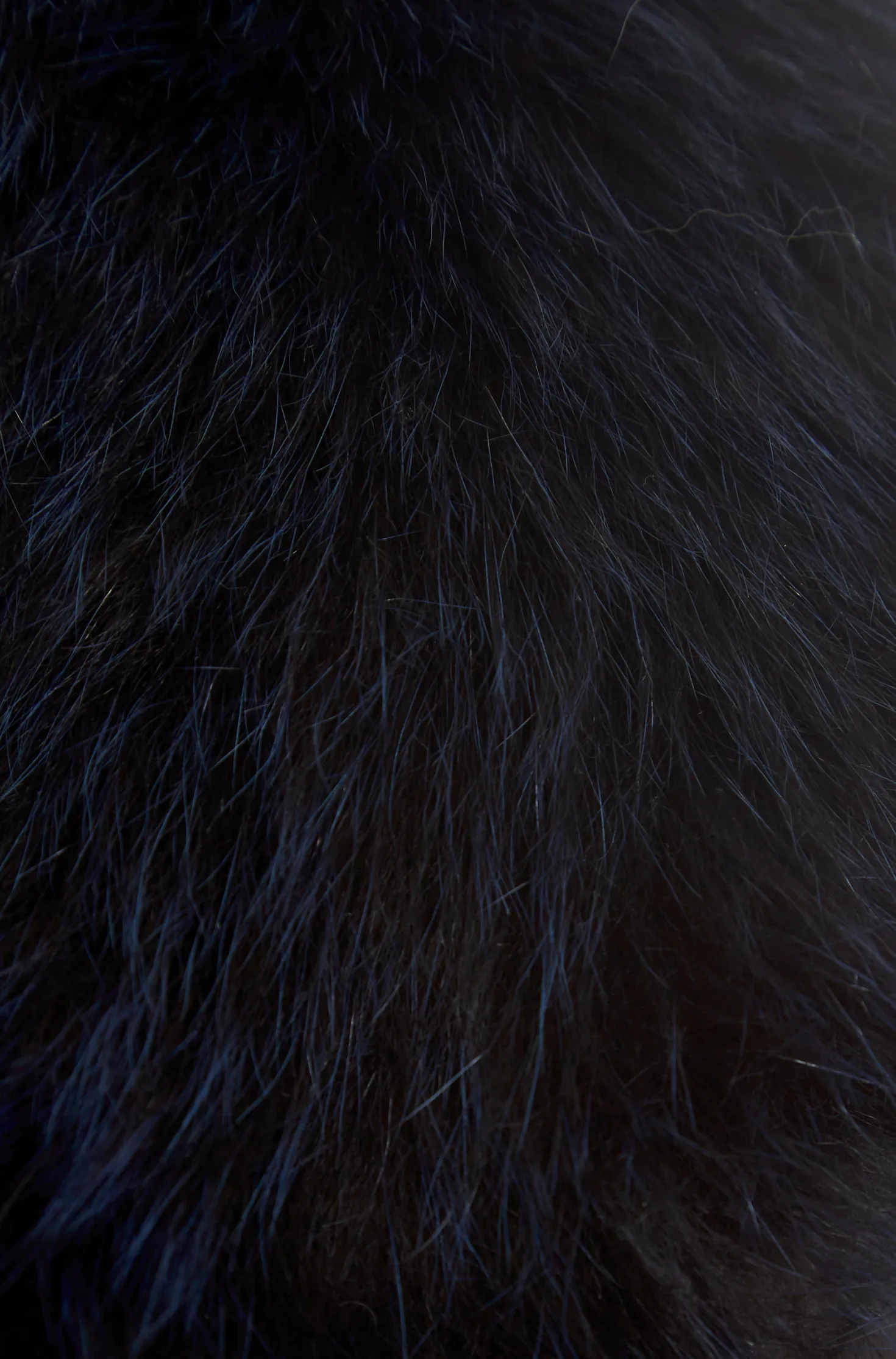 Navy Blue Genuine Fox Fur Collar