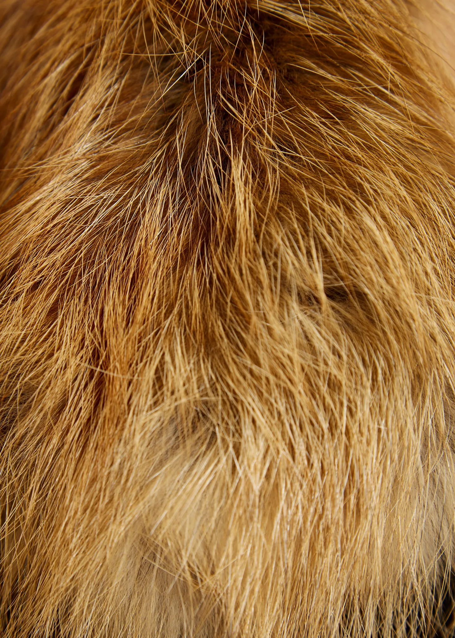 Red Genuine Fox Fur Collar